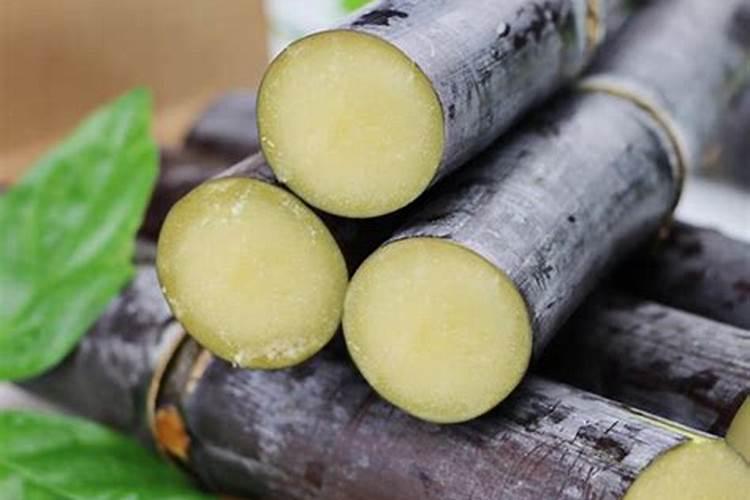 旱地不用浇水能种什么药材