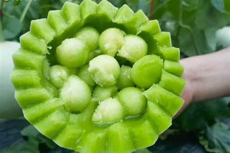 蝴蝶兰的叶子能喷水吗