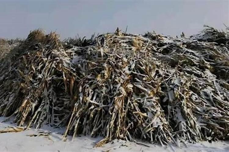 骨灰盒里的骨灰是死者的全部吗