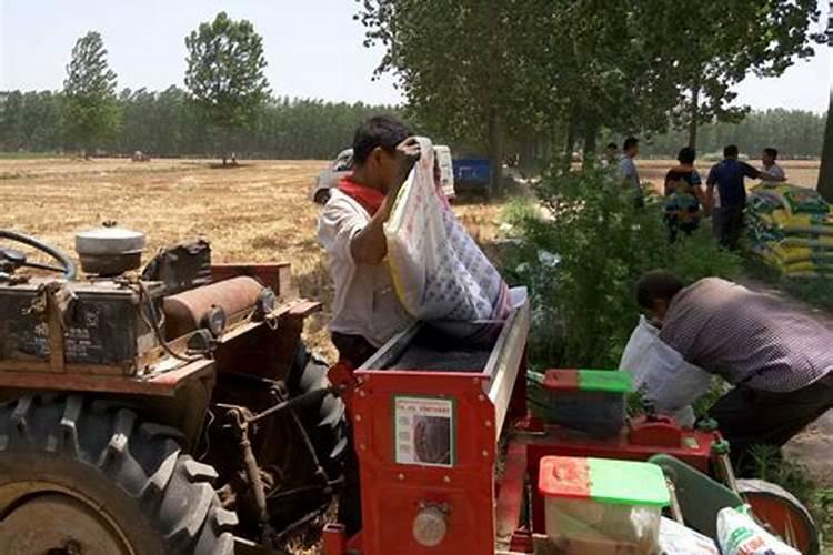 硝酸钠是危化品吗