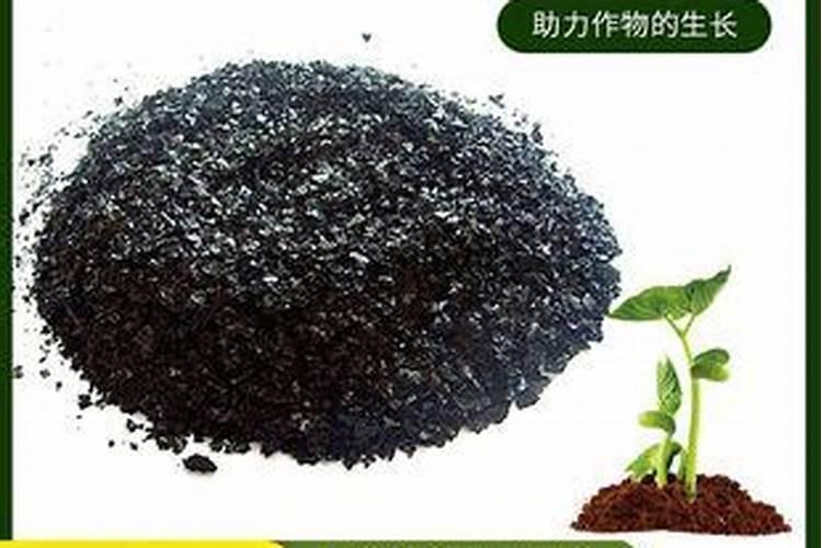 桃树用什么肥料最好