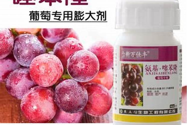 施什么肥让大姜粗壮