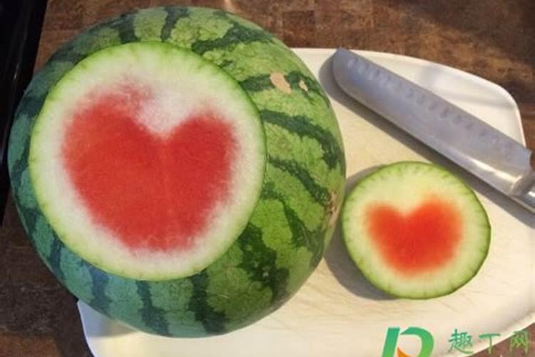 西瓜皮可以放进菜地吗