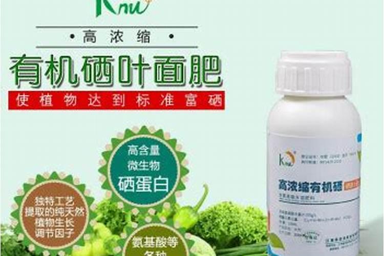 尿素浇菜最佳方法