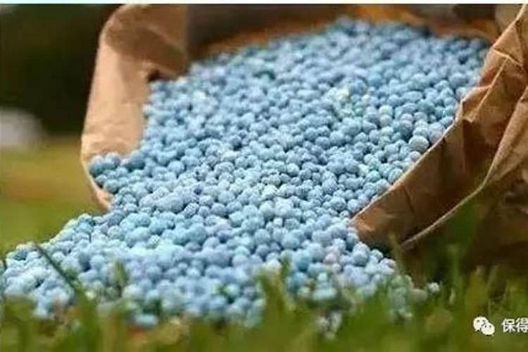 花生不同生长阶段的叶面肥使用技巧 花生应该怎么施肥