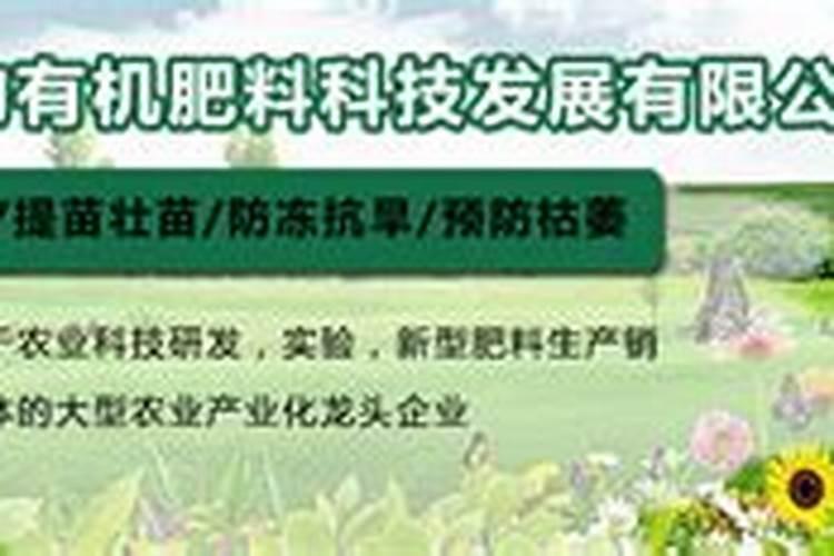 黑葡萄拉穗什么时候好呢？要注意什么问题呢？