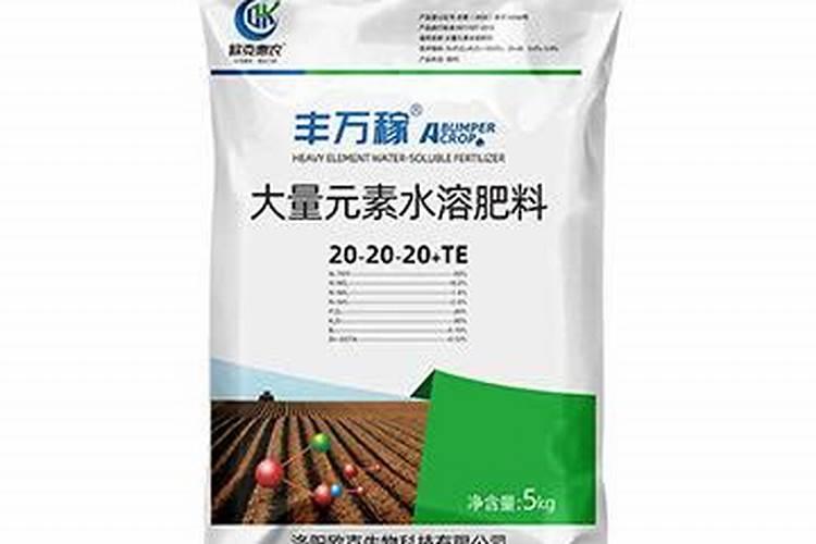 月季春天发芽施什么肥 春天月季施肥的注意事项