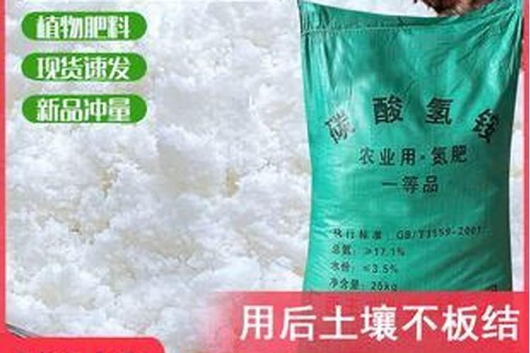 氧化钙与钙片有什么区别