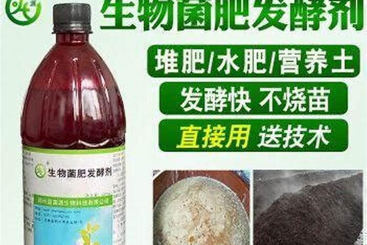 鱼粪便能当花肥吗,鱼粪便如何自然分解