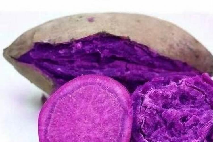 红薯施肥时间和方法