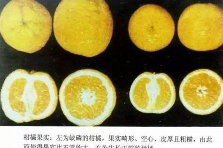 家里种植了很多柑橘,想让柑橘转色快一点,用什么肥料呢？