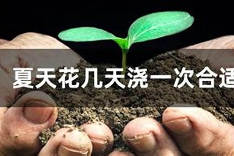 水溶肥中的钾肥是什么原料