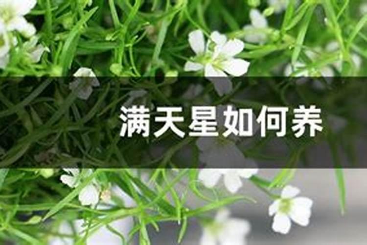 养鱼的水浇花可以吗