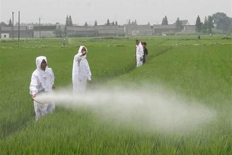 有机肥料和普通化肥在销售方面有什么优势和不足