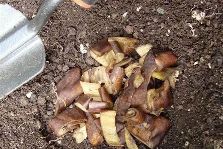 铵态氮肥、硝态氮肥、尿素的见效时间与肥效期各是多久？