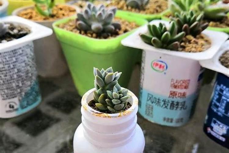 化肥怎么生产出来的