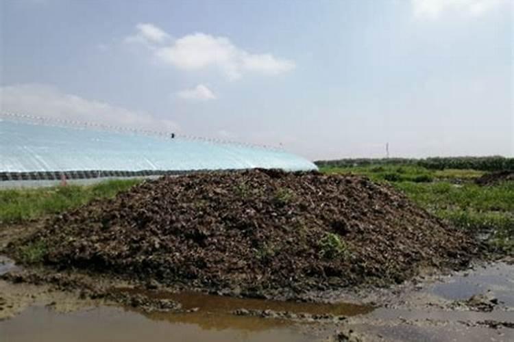 腐植酸肥料的使用方法有人知道吗？