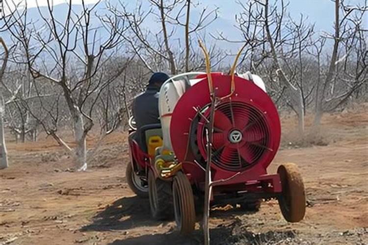 鱼鳞片有哪些神奇的吃法呢？