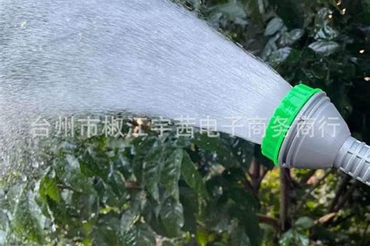 菜花的种植管理技术 长见识了吧