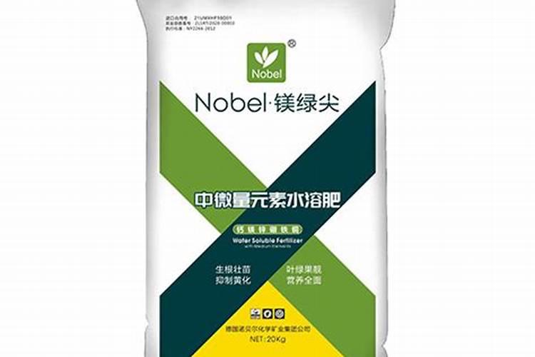 羽叶洋葵播种方法