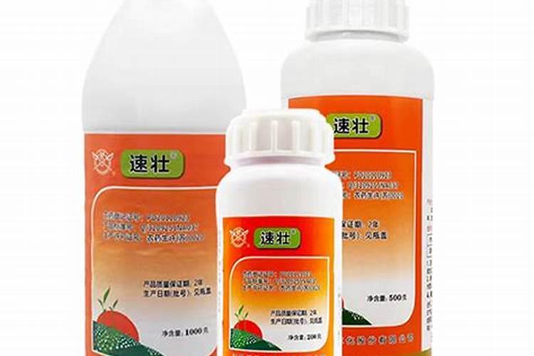 怎么能让香菜快速变绿发亮？生长的更好一些