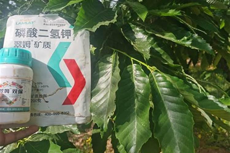 几种在鱼饵领域中比较常用的氨基酸介绍