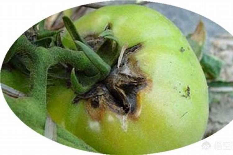 青霉素与硫酸镁两瓶药之间要冲管吗