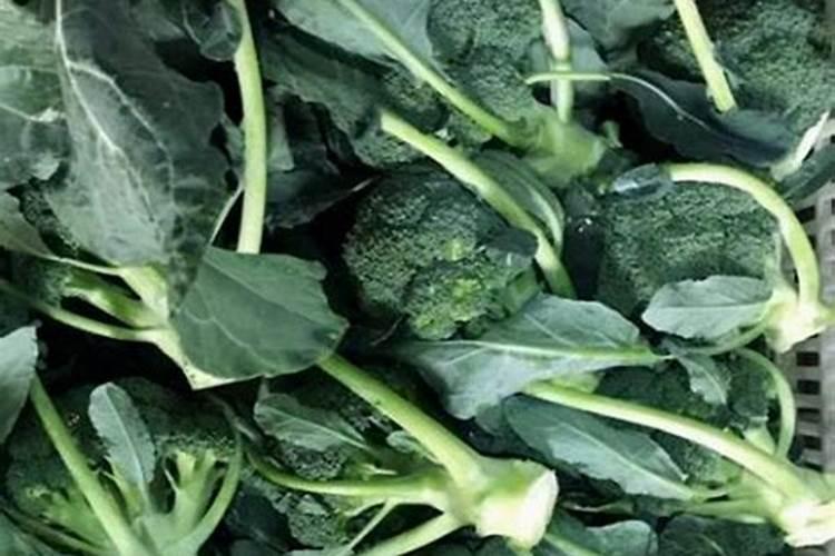 磷肥硼肥同时用好不好 硼肥起什么作用