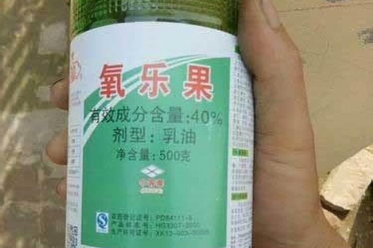 苹果树打氧乐果过重叶子发红怎么办