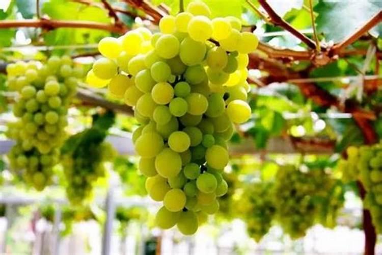 制氮机有那些行业使用