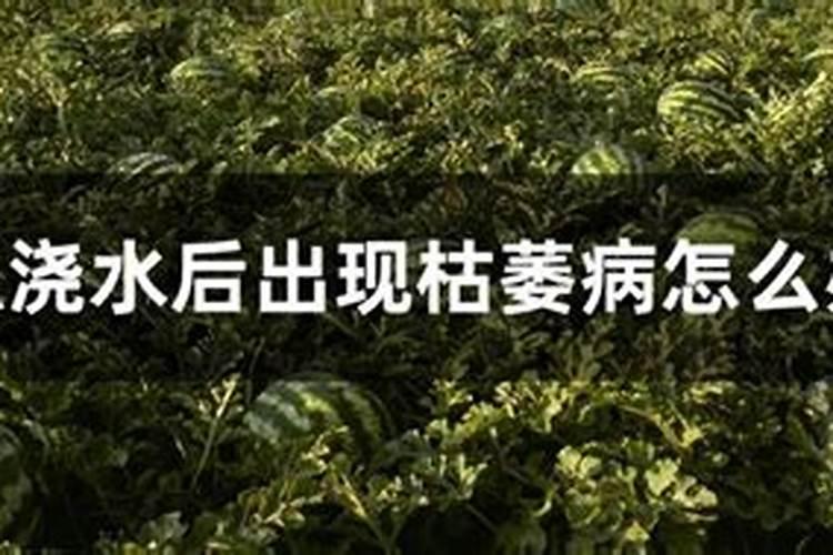 西瓜的需肥特性是什么 西瓜怎么施肥好