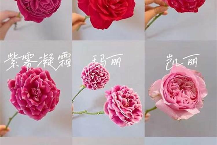 花卉中量元素是哪些