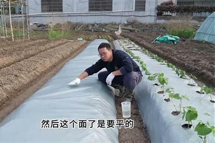 小麦一生需要多少肥料,分几次追施为好？