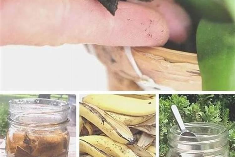 国内有进口日本鱼蛋白吗