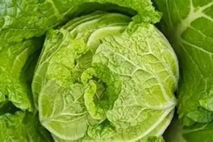 白菜追肥用什么肥好