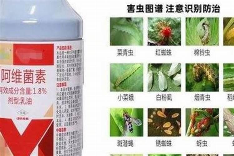 玉米芸苔素打虫药虫酰茚虫威甲氨基阿维菌素苯甲酸盐和叶面肥可以一起...