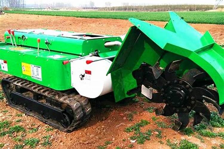 果园下有机肥撒施好？还是开沟好？