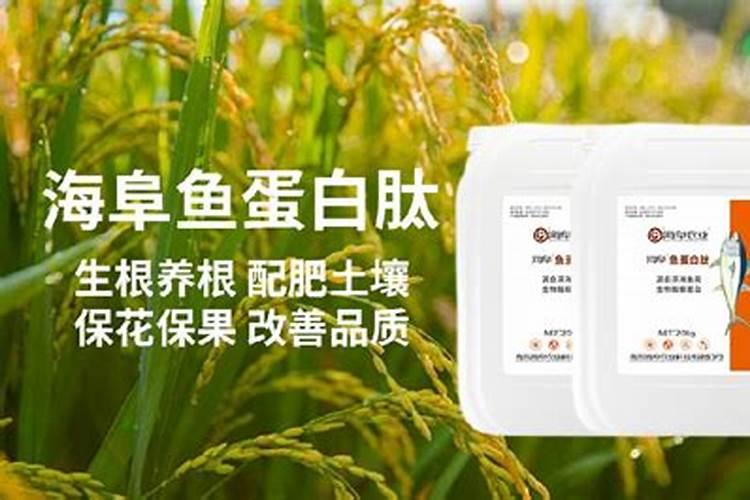 钙在植物中起什么作用