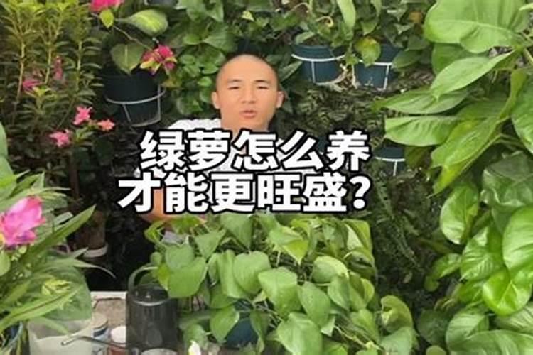 甜瓜施肥方法和施肥要求是什么？