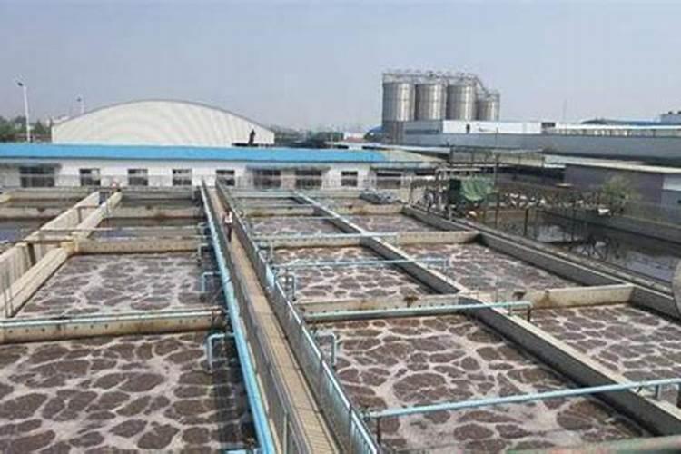 李大钊38岁就义,5个子女今安在？长子是副国级,女儿是作家