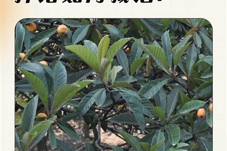 怎样让水三秒变成冰块