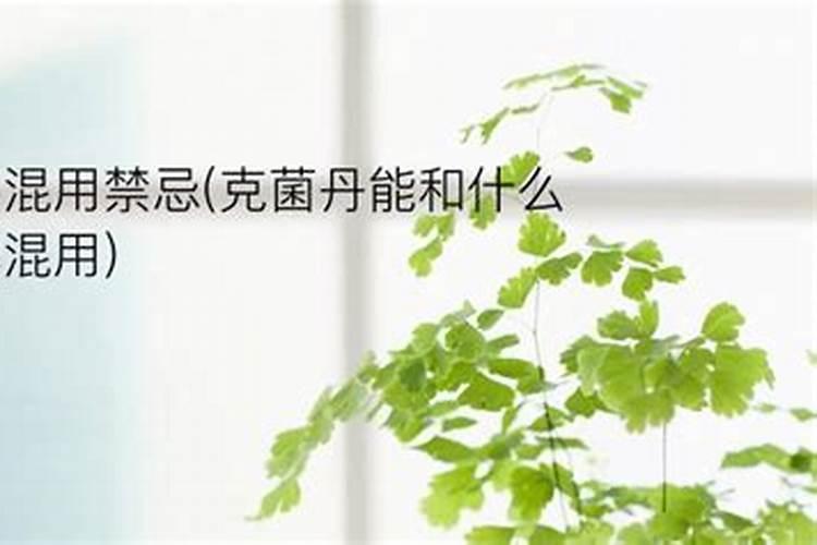 如何给农作物科学施用锌肥