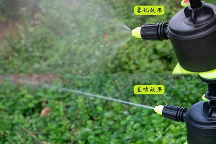 鱼蛋白放多了会烧根吗