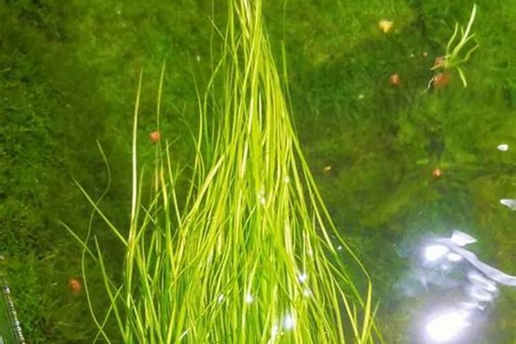 格尔木钾肥厂是国企吗还是私企有几险