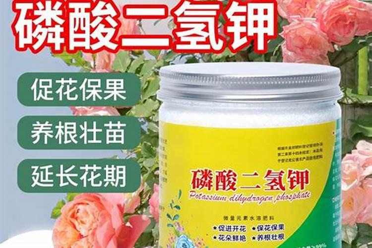 为什么需要钙镁同补？镁不适合什么病的人？