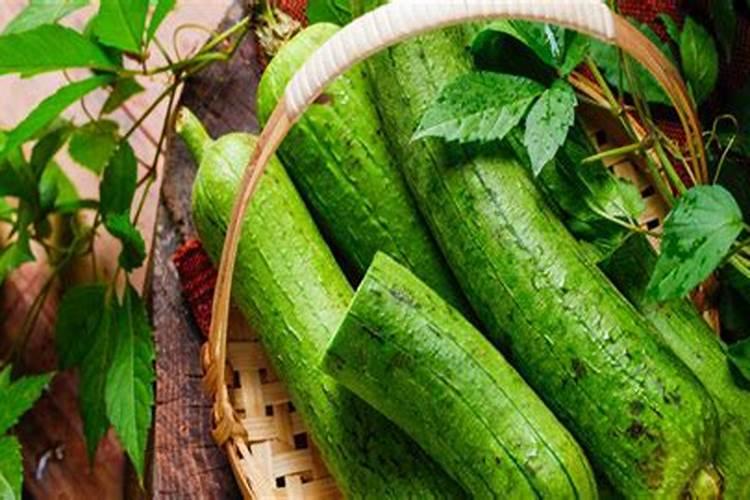 种植丝瓜最好的肥料是什么？