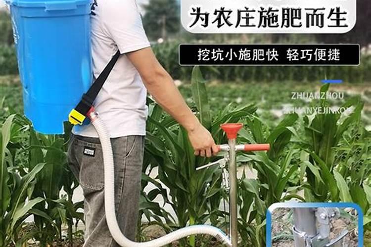 茼蒿最忌三种肥料