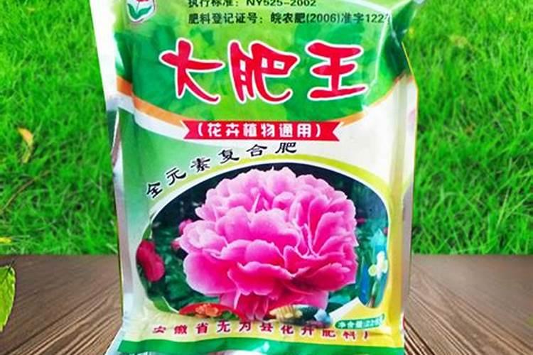 养花一般用什么肥料最好,养花用哪种肥料比较好