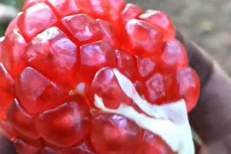 地瓜浇水的正确方法