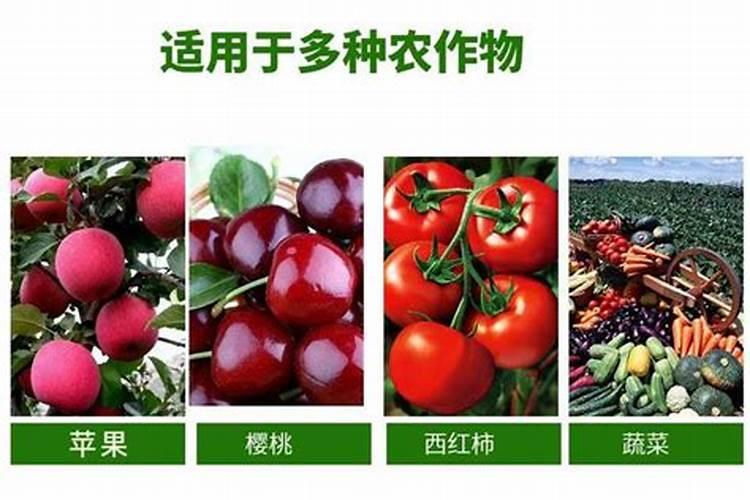 花椒树用什么肥料好